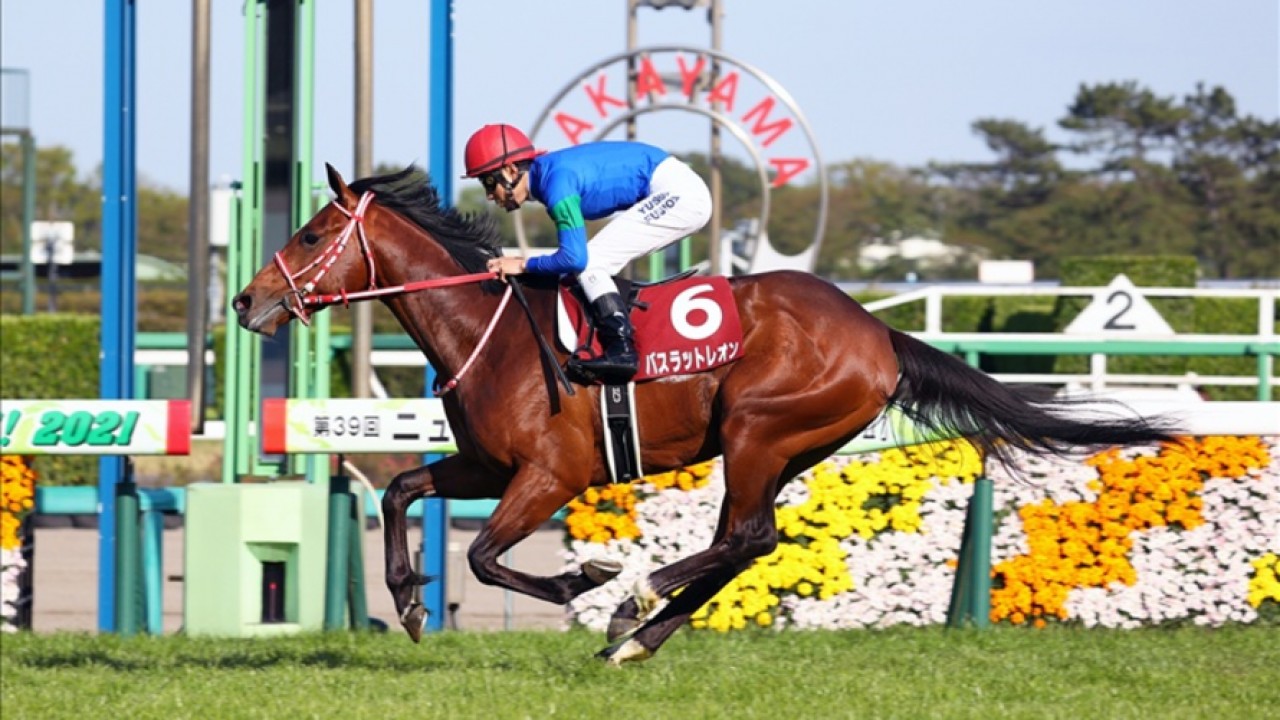 Review: Japanese Raiders Capture 2022 Godolphin Mile with ... Image 1